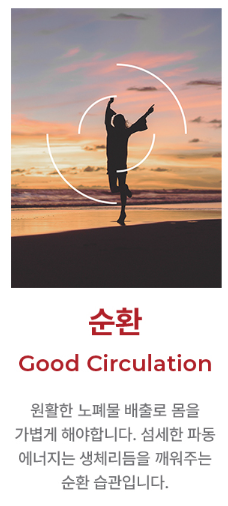 순환케어 - 셀트론 순환체어
